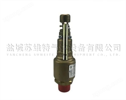 弹簧式安全阀